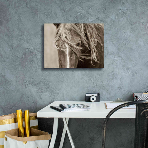 Image of 'Wind Knots' by Lisa Dearing, Giclee Canvas Wall Art,16x12