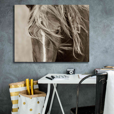 Image of 'Wind Knots' by Lisa Dearing, Giclee Canvas Wall Art,34x26