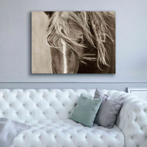 Image of 'Wind Knots' by Lisa Dearing, Giclee Canvas Wall Art,54x40