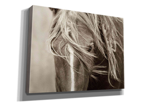 Image of 'Wind Knots' by Lisa Dearing, Giclee Canvas Wall Art