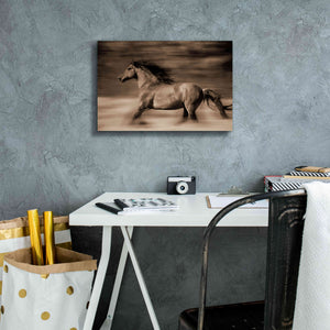 'Wind Runner' by Lisa Dearing, Giclee Canvas Wall Art,18x12