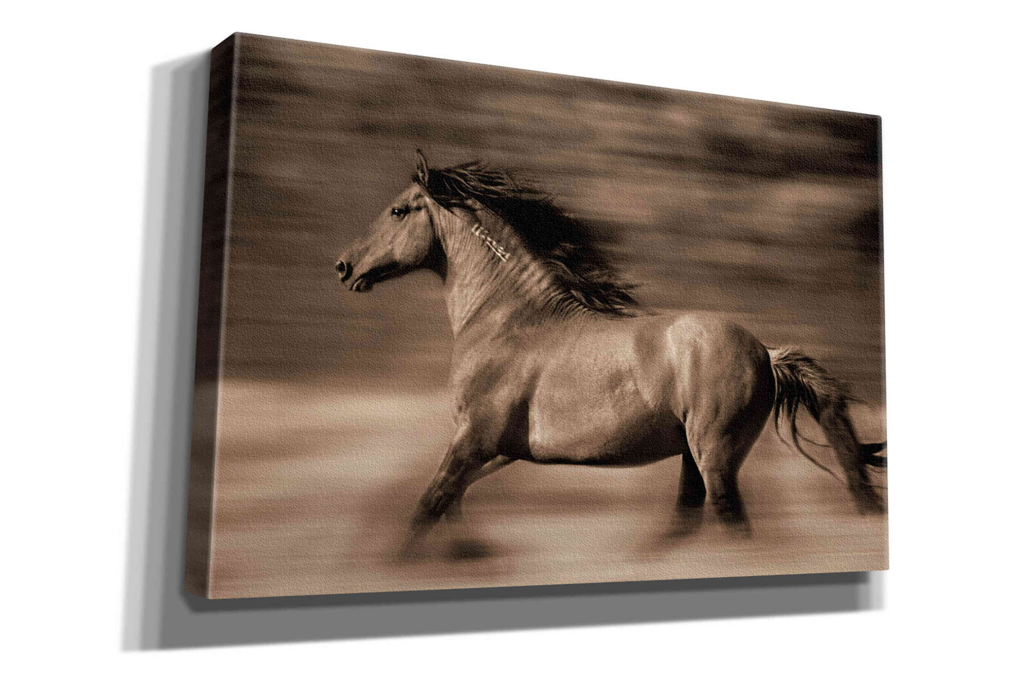'Wind Runner' by Lisa Dearing, Giclee Canvas Wall Art