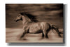 'Wind Runner' by Lisa Dearing, Giclee Canvas Wall Art