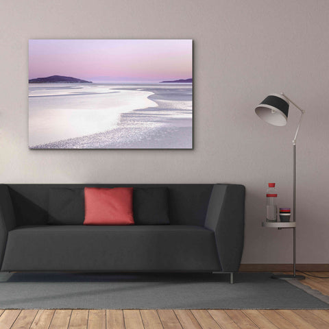 Image of 'Silver Silence' by Lynne Douglas, Giclee Canvas Wall Art,60x40