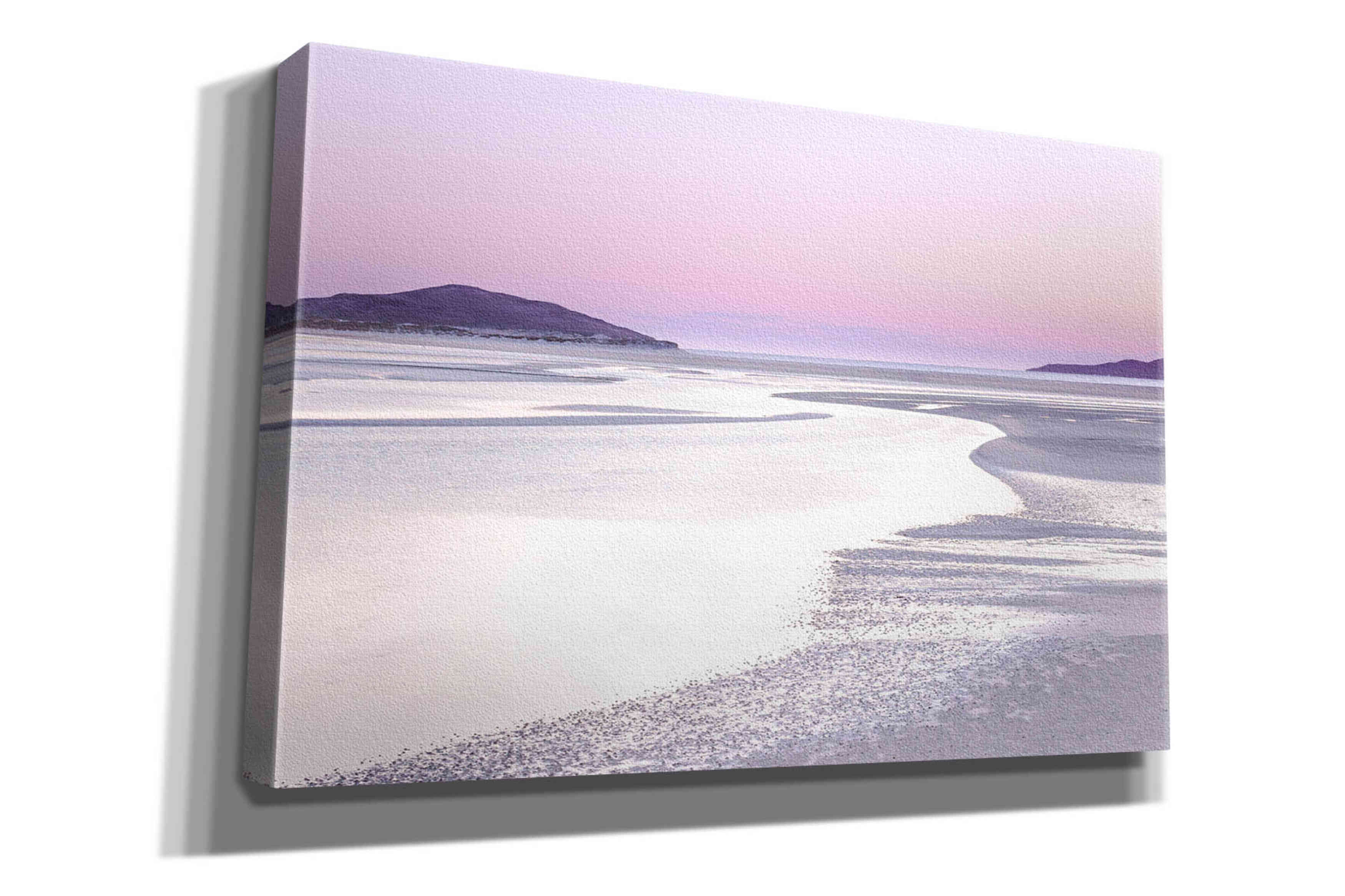 'Silver Silence' by Lynne Douglas, Giclee Canvas Wall Art
