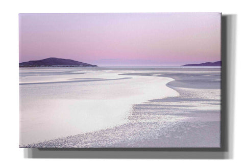 Image of 'Silver Silence' by Lynne Douglas, Giclee Canvas Wall Art