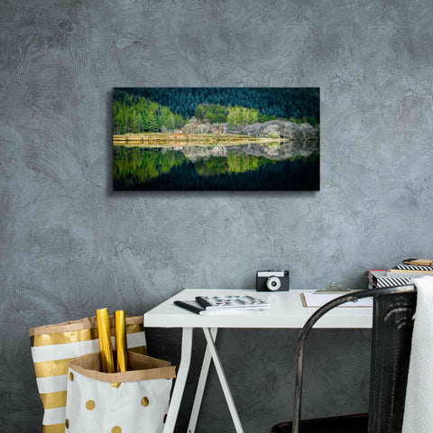 Image of 'Spring Greens' by Lynne Douglas, Giclee Canvas Wall Art,24x12