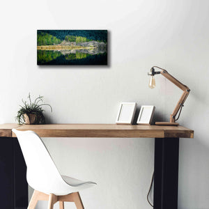 'Spring Greens' by Lynne Douglas, Giclee Canvas Wall Art,24x12