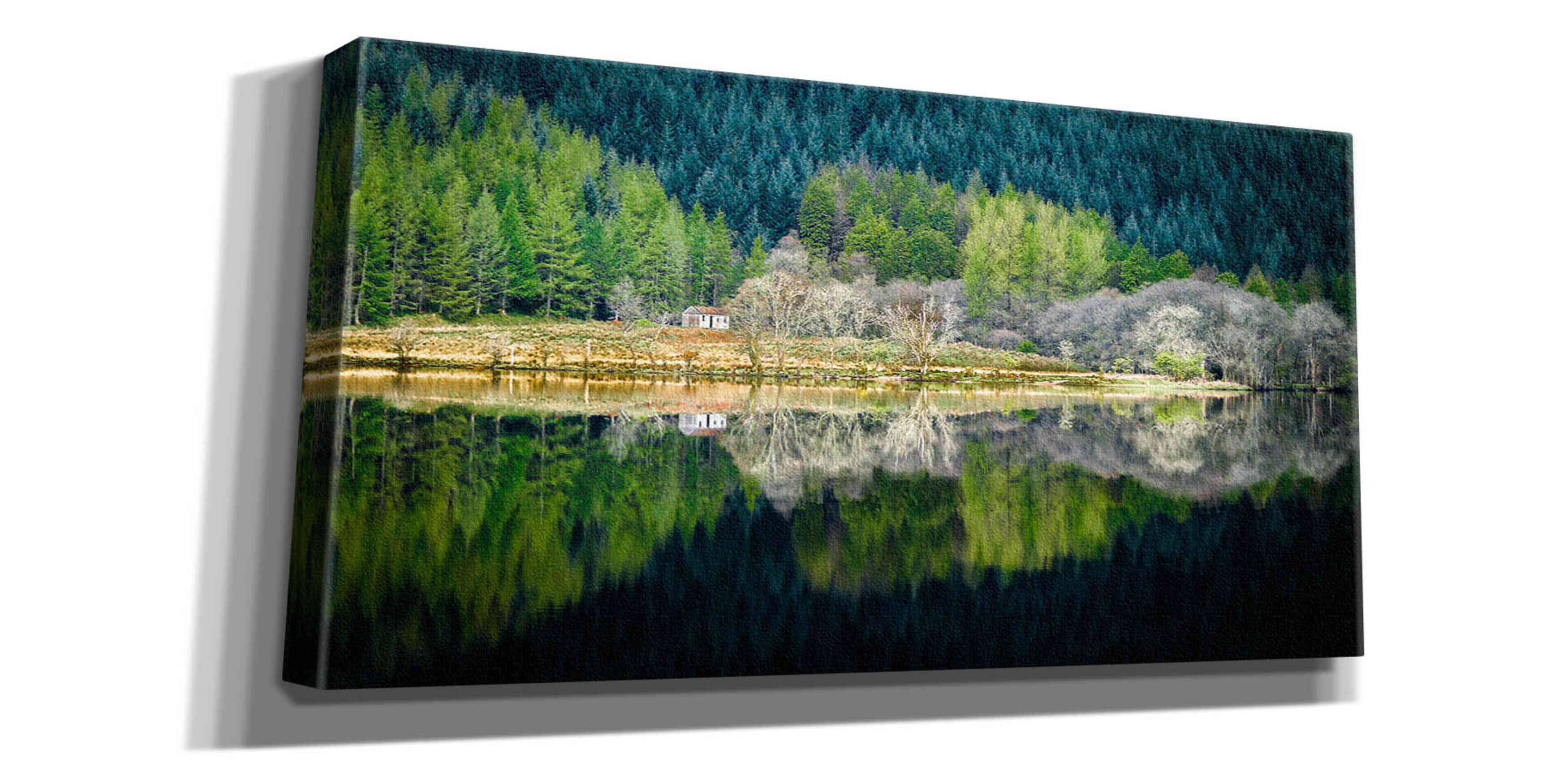 'Spring Greens' by Lynne Douglas, Giclee Canvas Wall Art