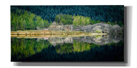 Image of 'Spring Greens' by Lynne Douglas, Giclee Canvas Wall Art