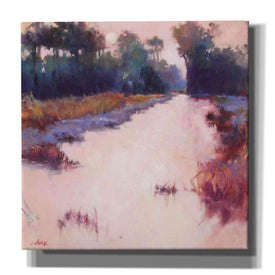 'Coral Dawn' by Madeline Dukes, Giclee Canvas Wall Art