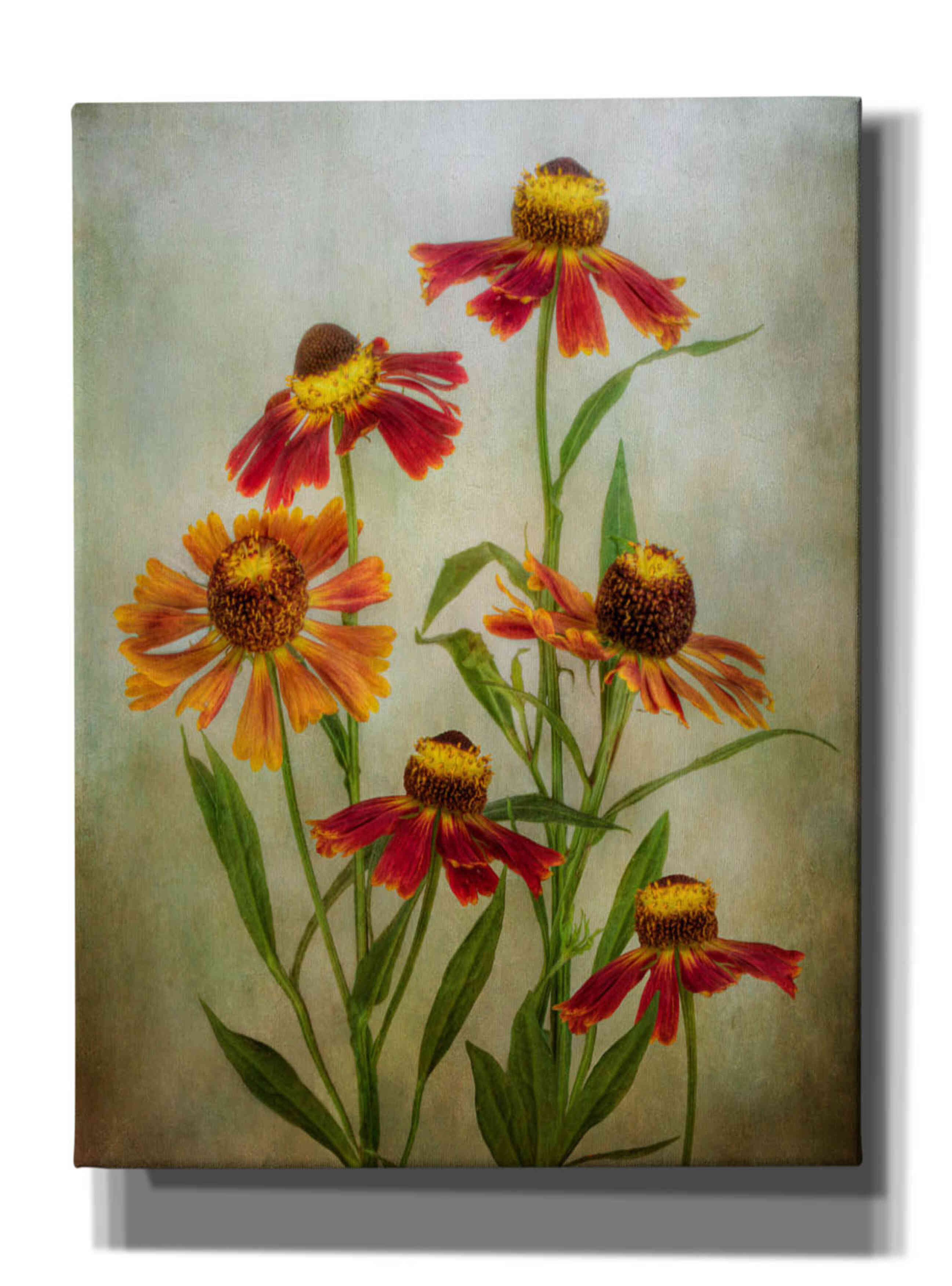 'Cabaret' by Mandy Disher, Giclee Canvas Wall Art