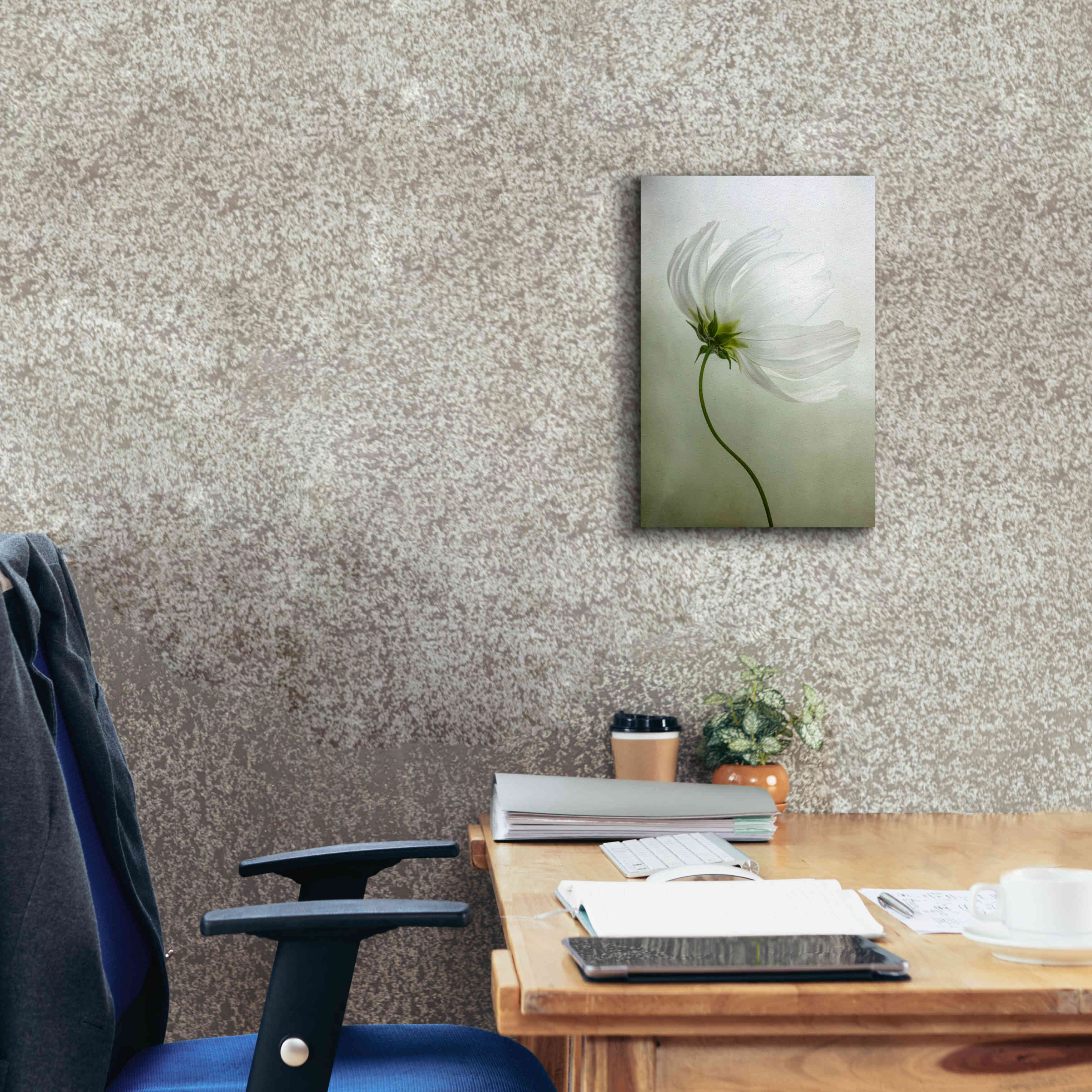 'Cosmos Charisma' by Mandy Disher, Giclee Canvas Wall Art,12x18