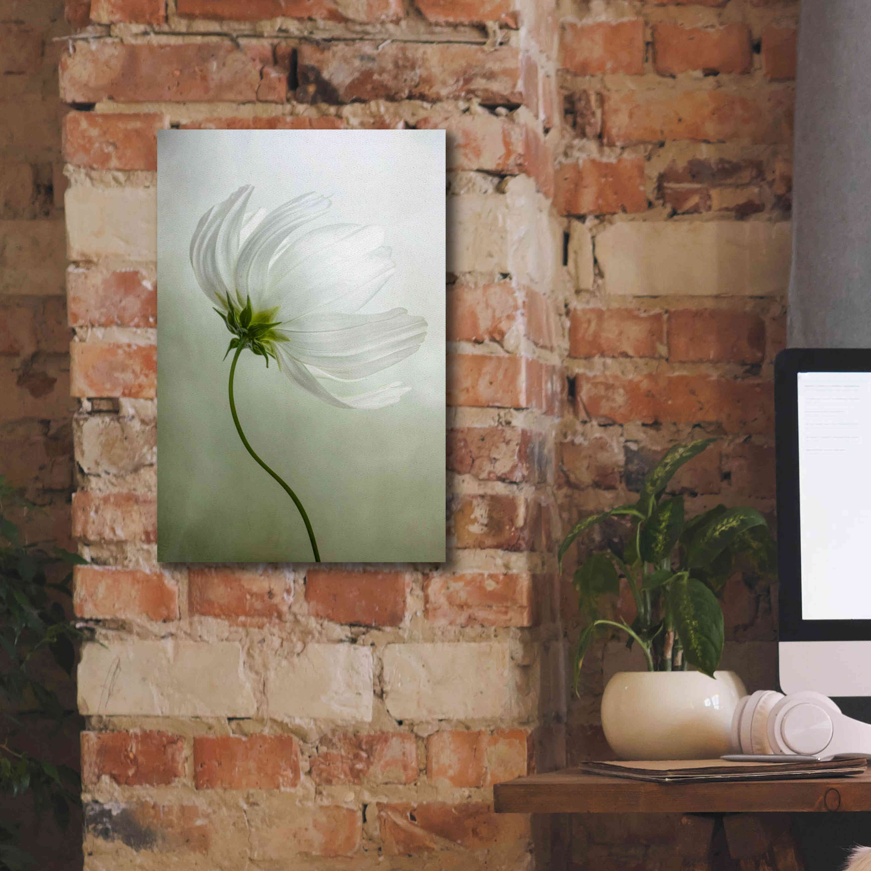 'Cosmos Charisma' by Mandy Disher, Giclee Canvas Wall Art,12x18