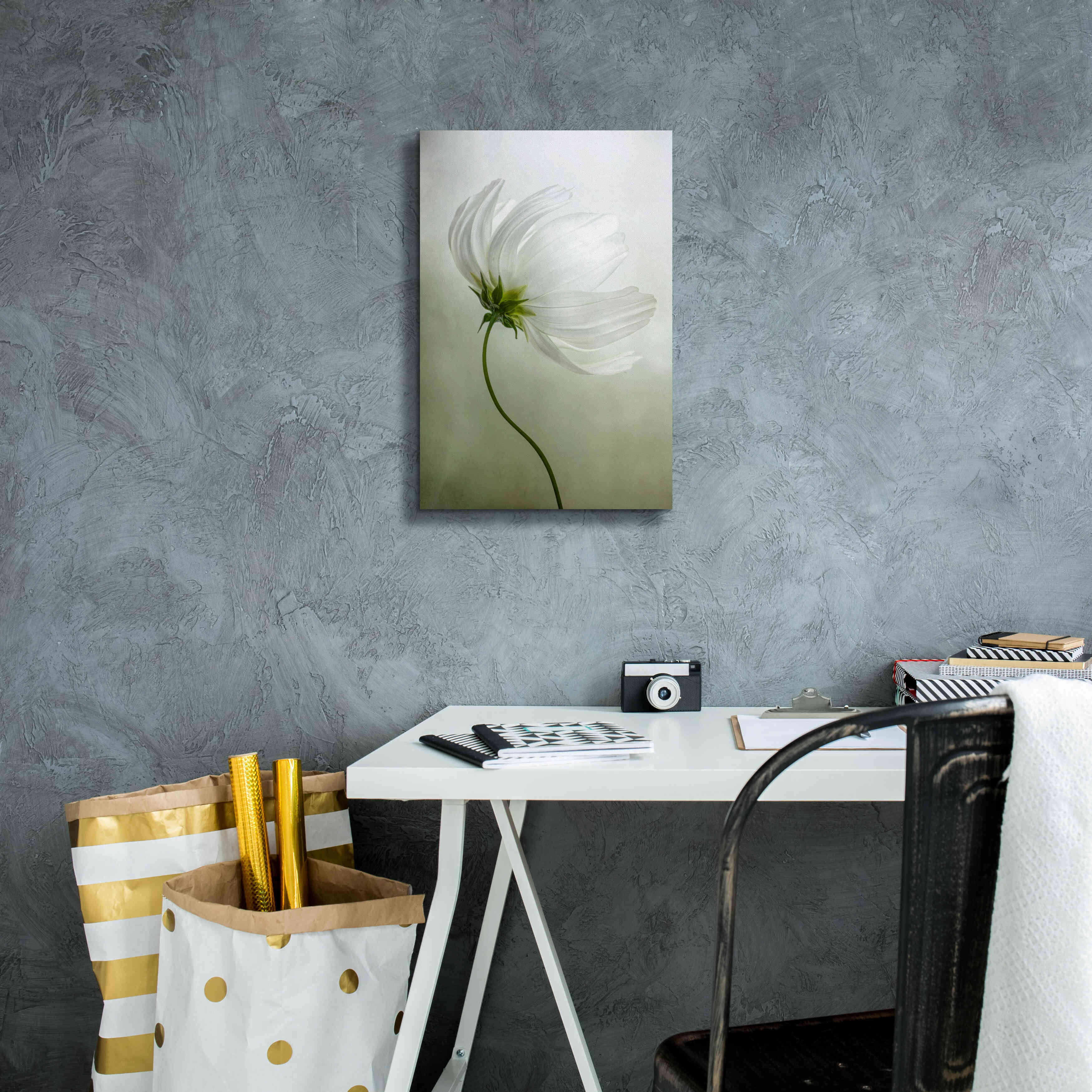 'Cosmos Charisma' by Mandy Disher, Giclee Canvas Wall Art,12x18