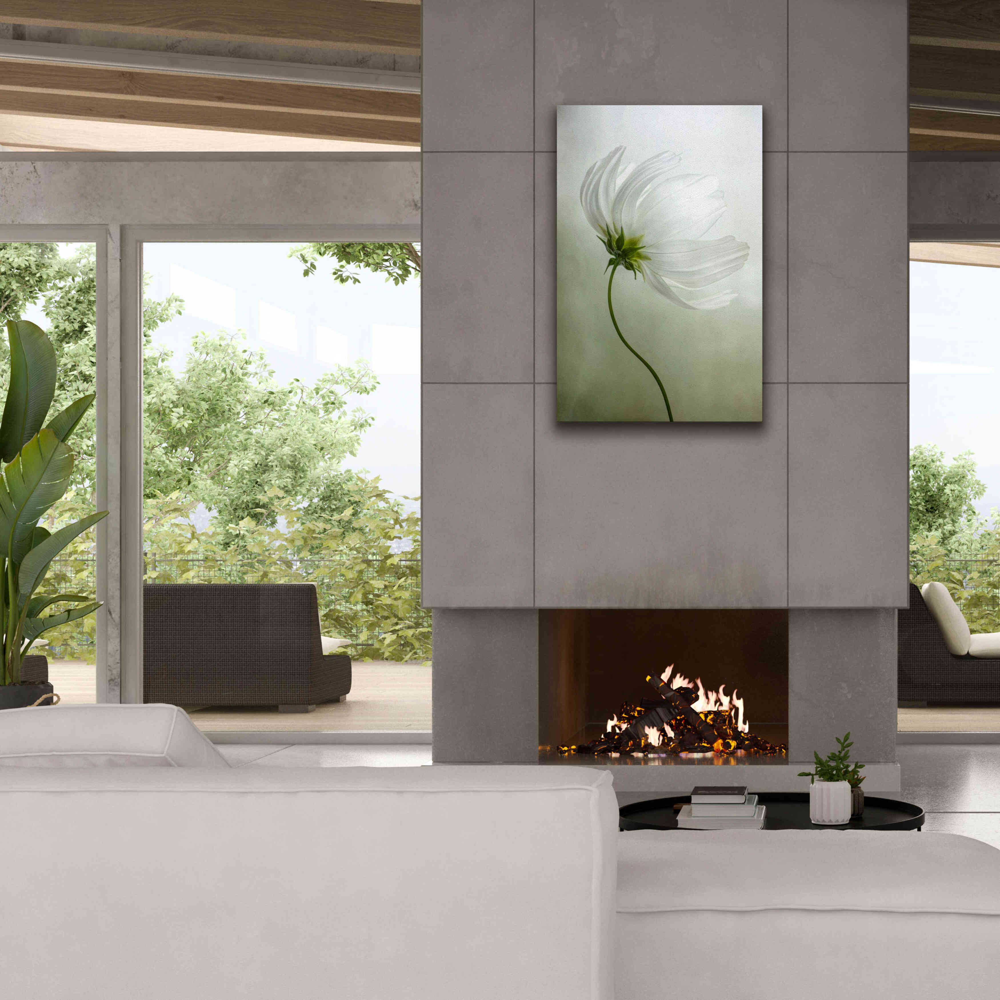 'Cosmos Charisma' by Mandy Disher, Giclee Canvas Wall Art,26x40