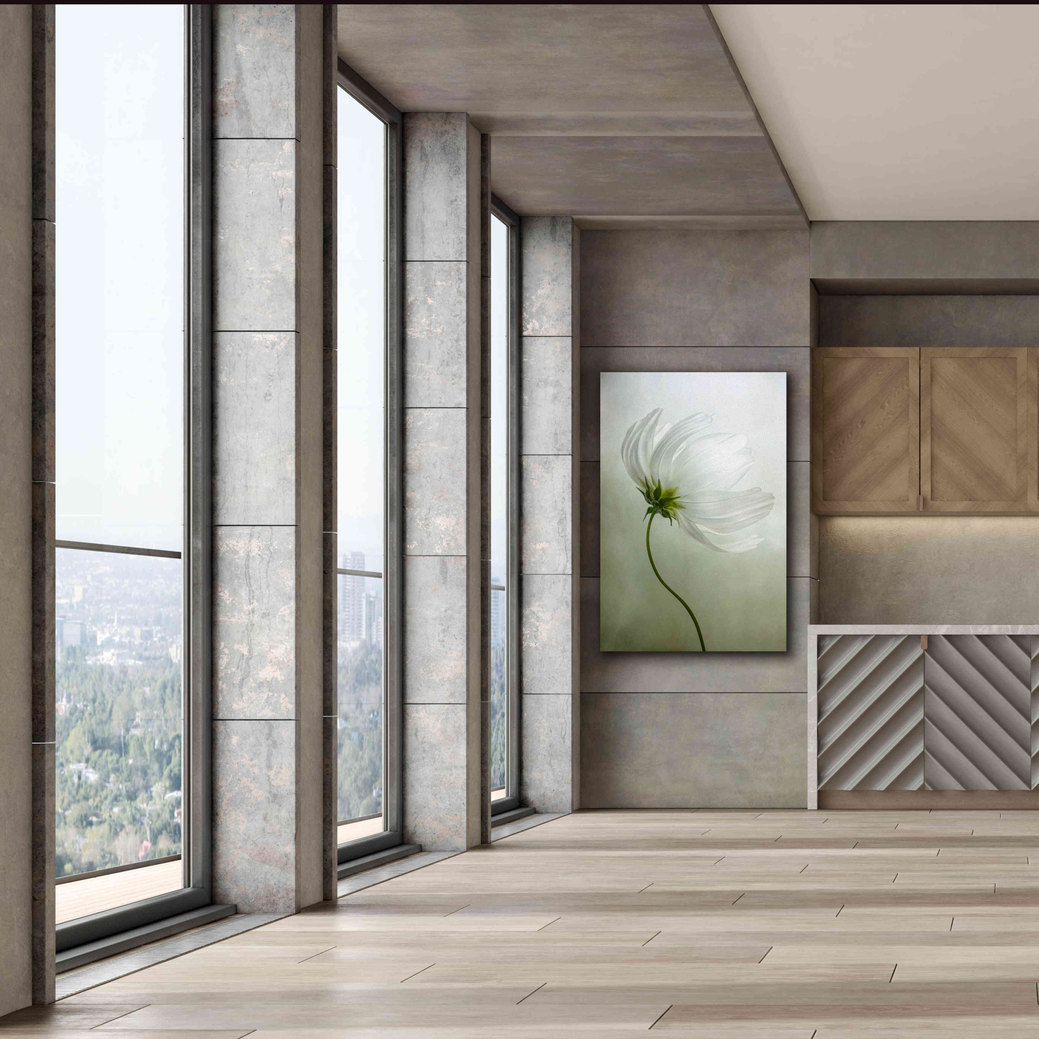 'Cosmos Charisma' by Mandy Disher, Giclee Canvas Wall Art,40x60