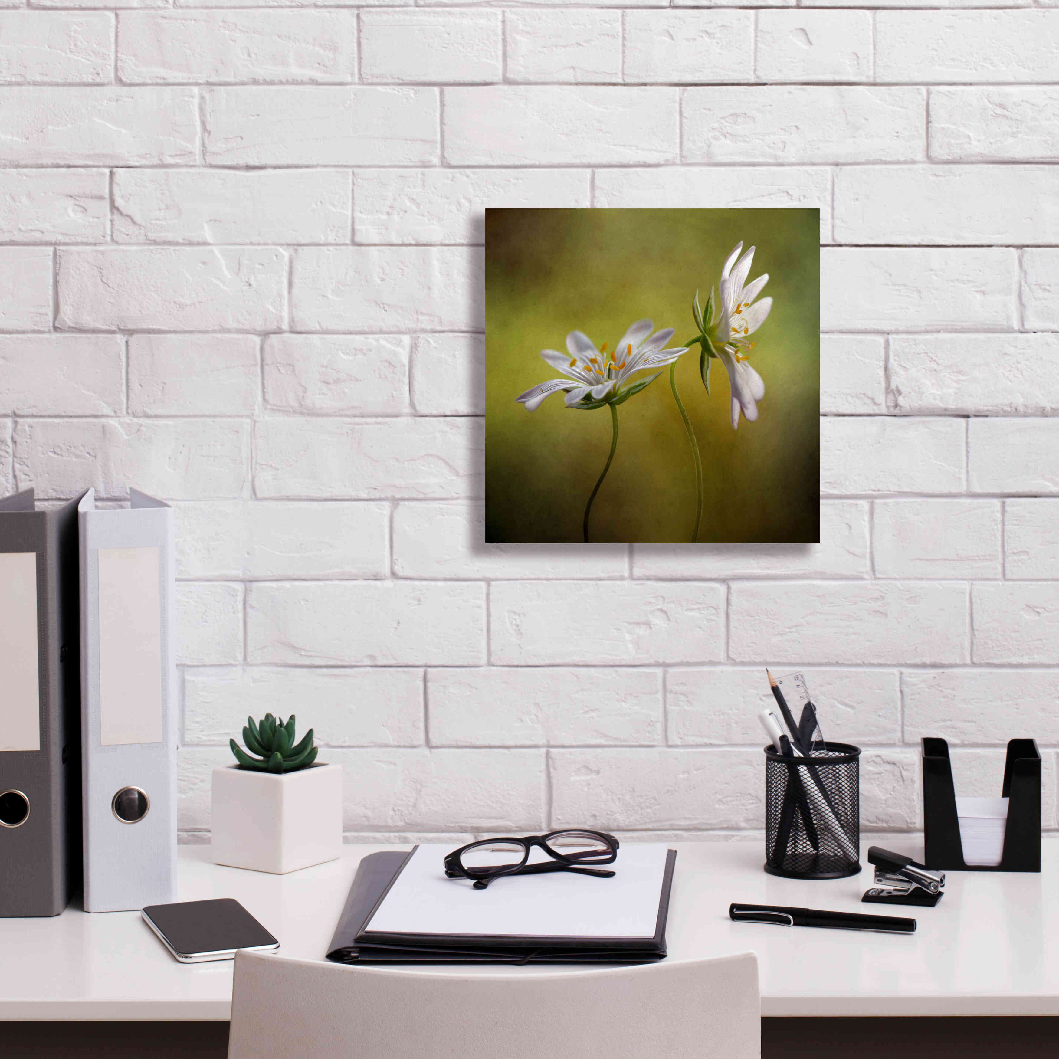 'Echo' by Mandy Disher, Giclee Canvas Wall Art,12x12