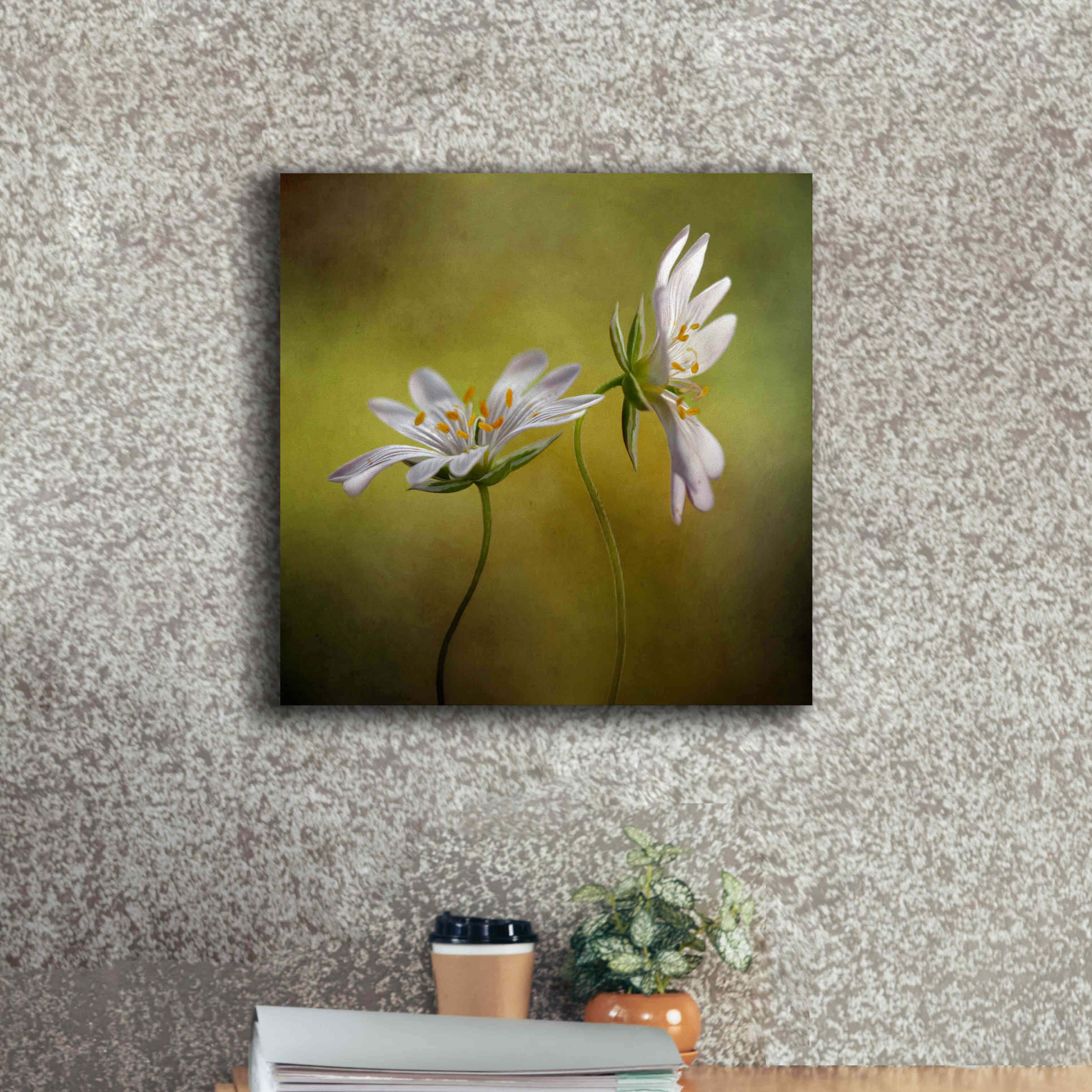 'Echo' by Mandy Disher, Giclee Canvas Wall Art,18x18