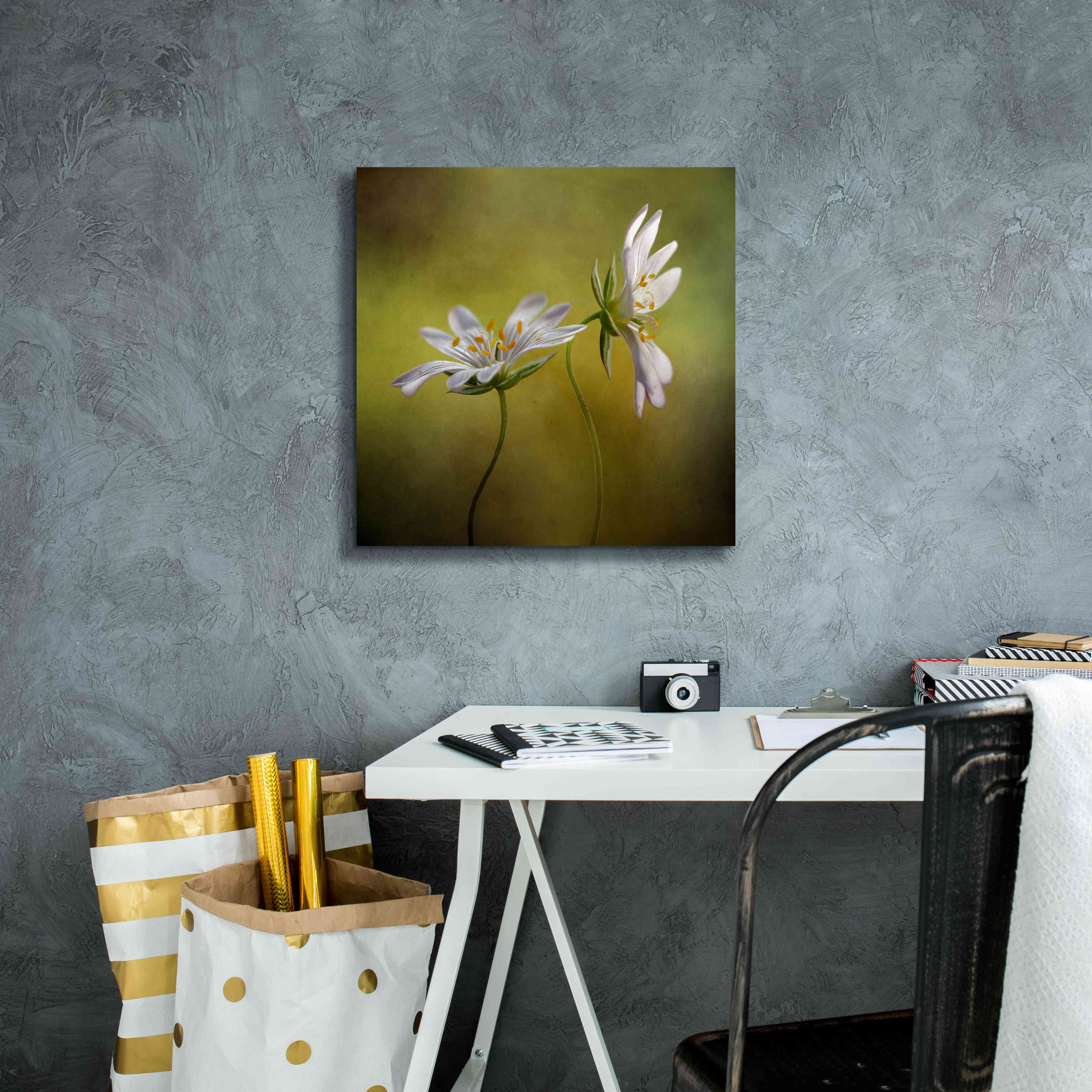 'Echo' by Mandy Disher, Giclee Canvas Wall Art,18x18