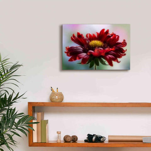 Image of 'Flame' by Mandy Disher, Giclee Canvas Wall Art,18x12