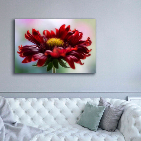 Image of 'Flame' by Mandy Disher, Giclee Canvas Wall Art,60x40