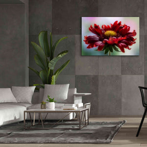 'Flame' by Mandy Disher, Giclee Canvas Wall Art,60x40