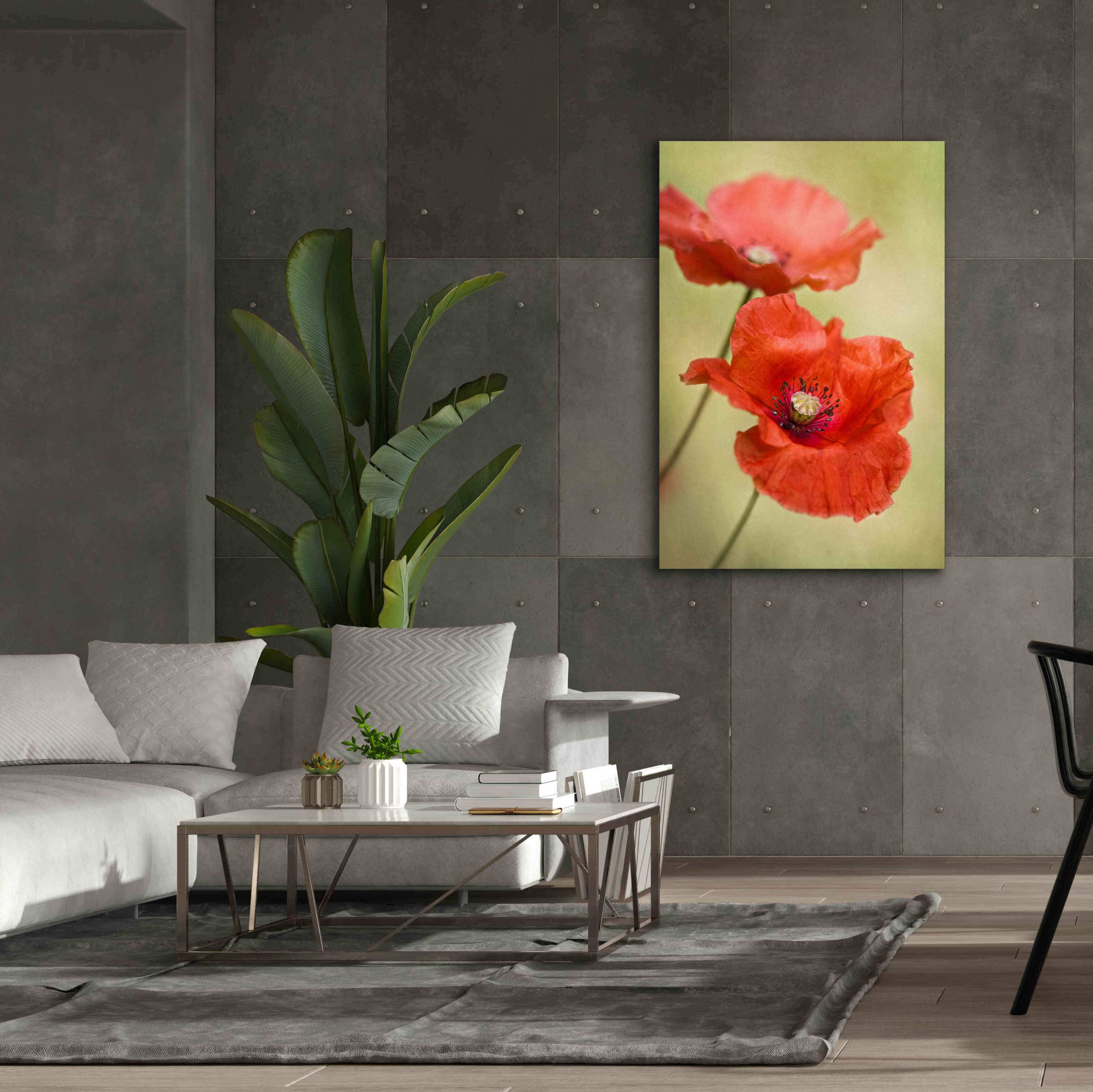 'Papaver Passion' by Mandy Disher, Giclee Canvas Wall Art,40x60