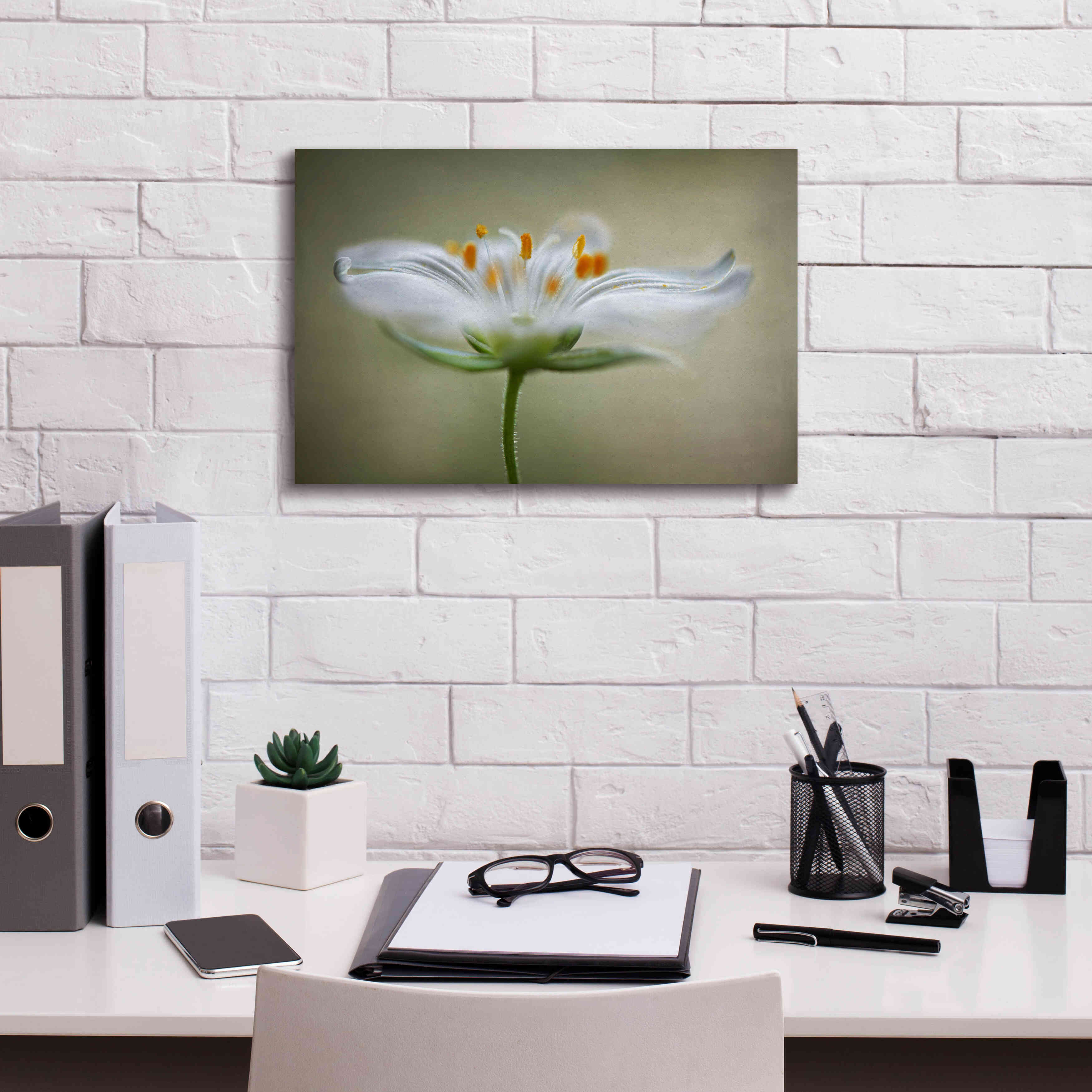 'Summer Swirl' by Mandy Disher, Giclee Canvas Wall Art,18x12