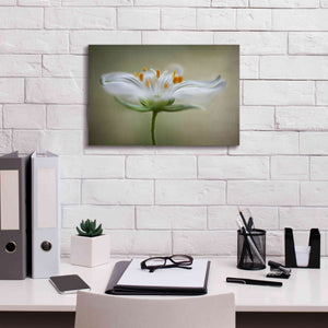'Summer Swirl' by Mandy Disher, Giclee Canvas Wall Art,18x12