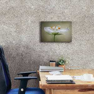 'Summer Swirl' by Mandy Disher, Giclee Canvas Wall Art,18x12
