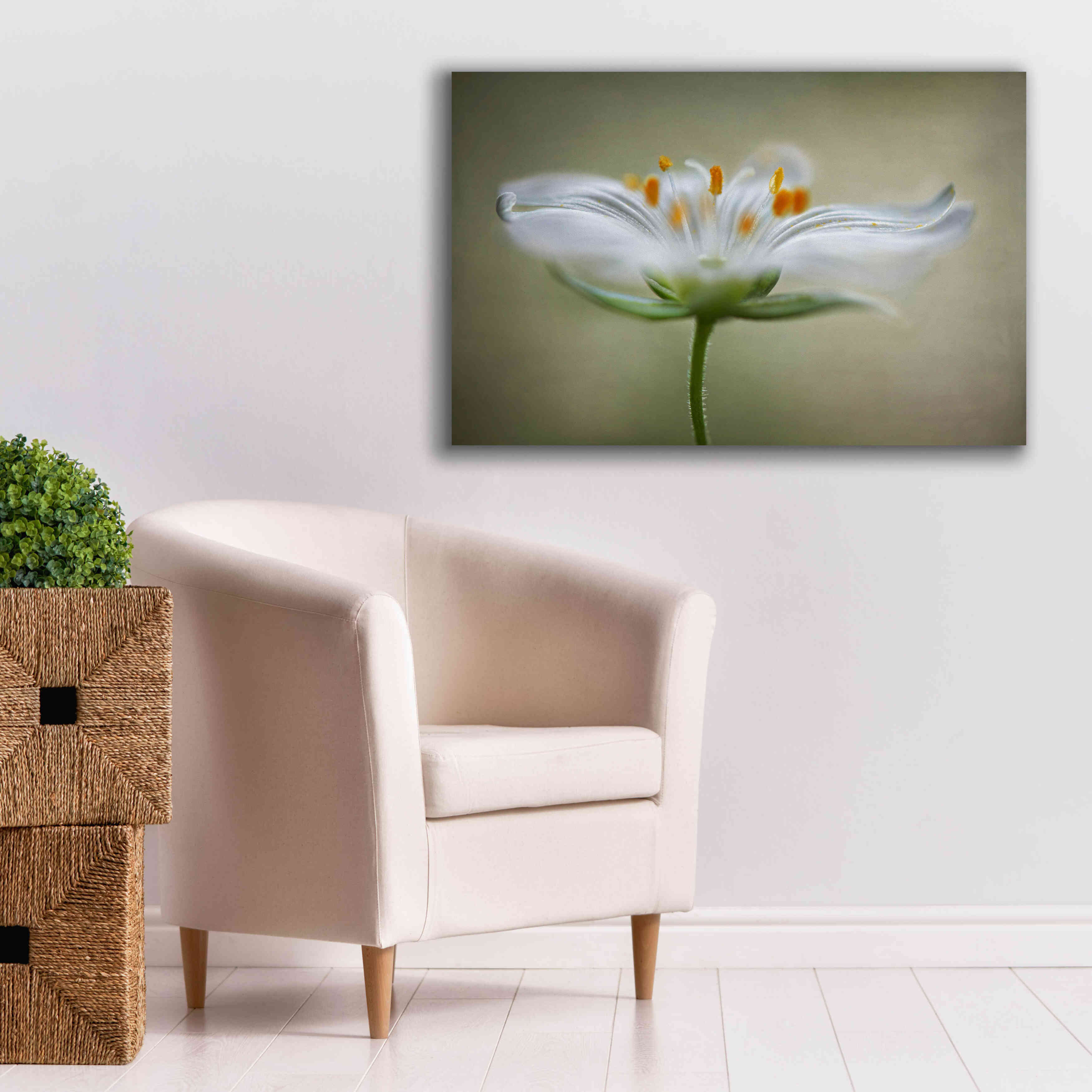 'Summer Swirl' by Mandy Disher, Giclee Canvas Wall Art,40x26