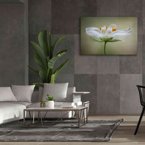 Image of 'Summer Swirl' by Mandy Disher, Giclee Canvas Wall Art,60x40