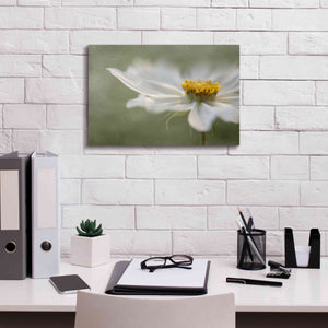 'Whisper' by Mandy Disher, Giclee Canvas Wall Art,18x12