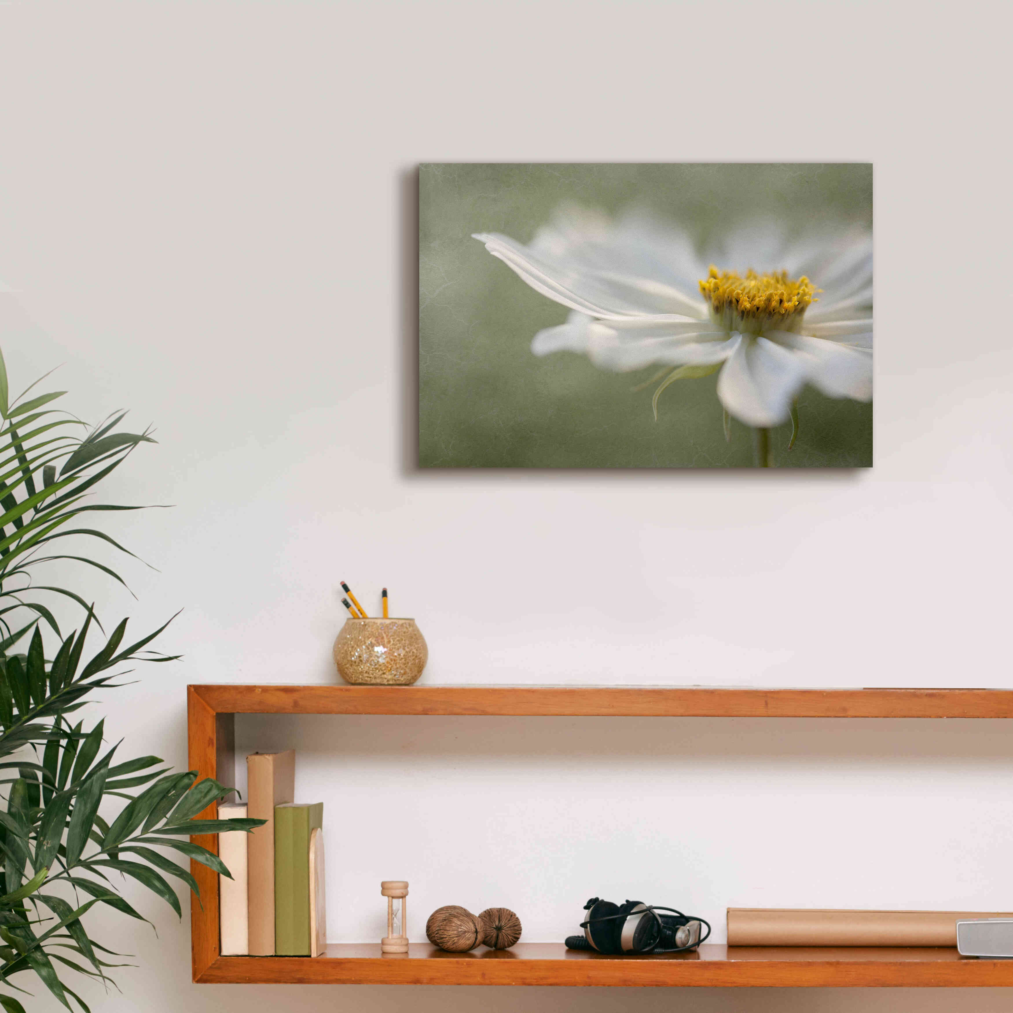 'Whisper' by Mandy Disher, Giclee Canvas Wall Art,18x12