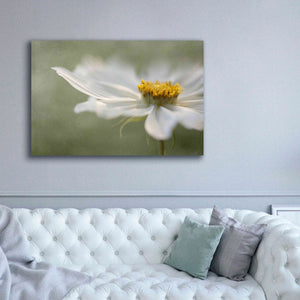 'Whisper' by Mandy Disher, Giclee Canvas Wall Art,60x40
