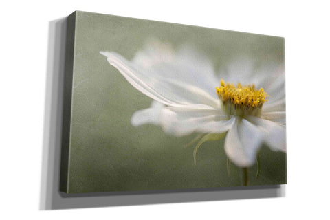 Image of 'Whisper' by Mandy Disher, Giclee Canvas Wall Art