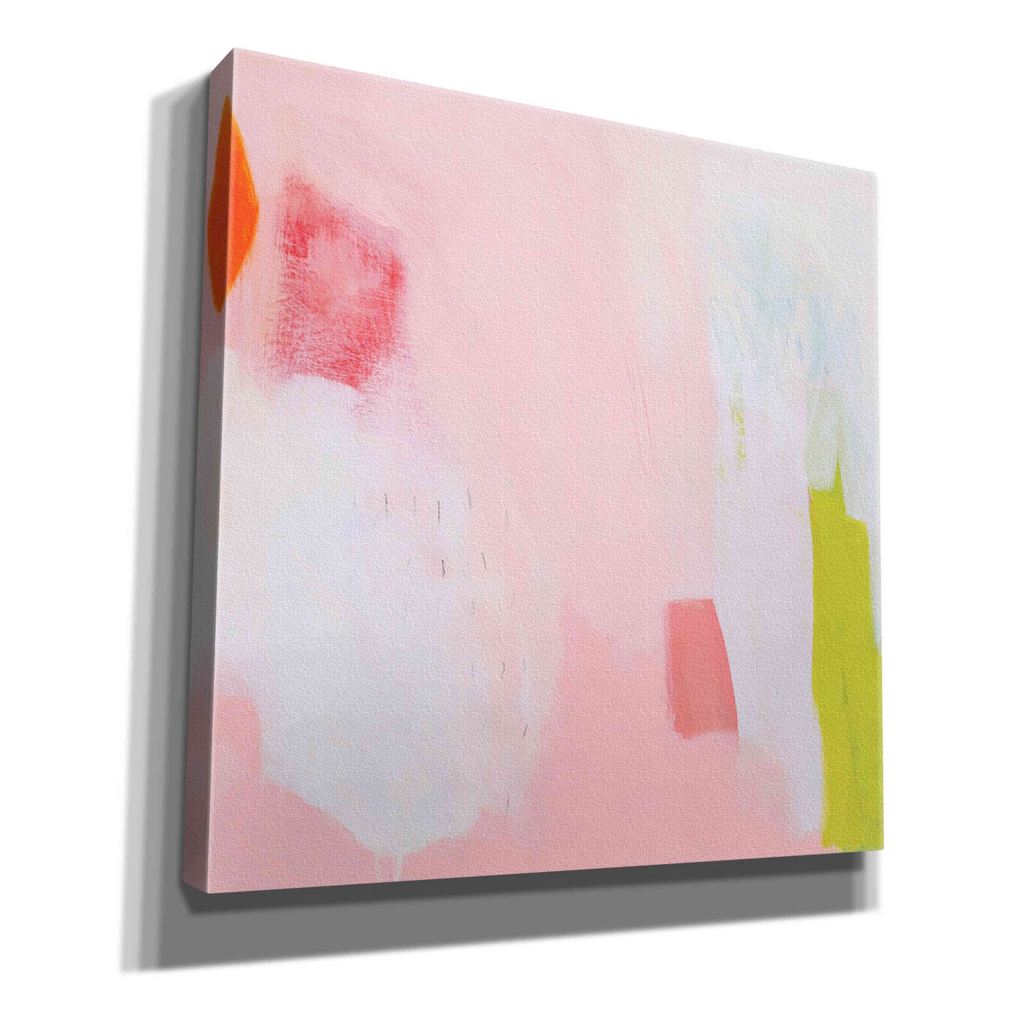 'Seed Pack' by Melissa Donoho, Giclee Canvas Wall Art