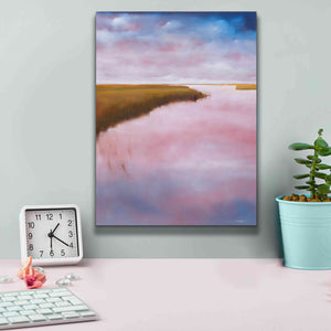'Lowlands' by Michael A. Diliberto, Giclee Canvas Wall Art,12x16