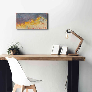 'Aerial' by Patrick Dennis, Giclee Canvas Wall Art,24x12