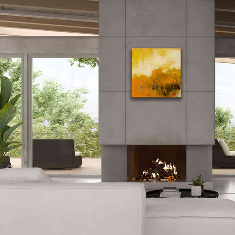 Image of 'Autumn of Life' by Patrick Dennis, Giclee Canvas Wall Art,26x26