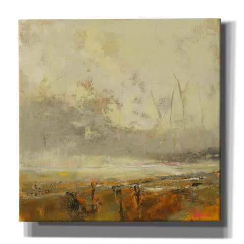 Image of 'Farm Path' by Patrick Dennis, Giclee Canvas Wall Art