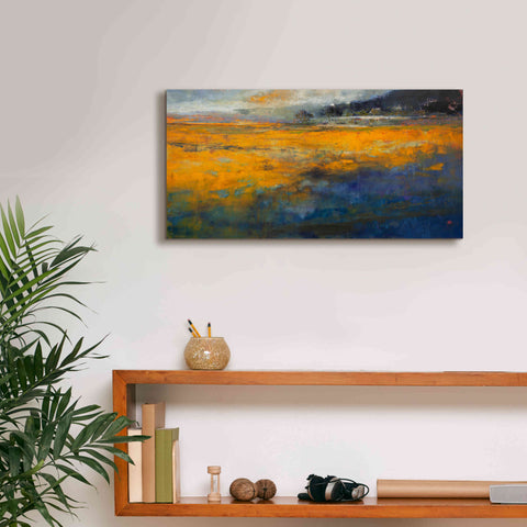 Image of 'Marshes' by Patrick Dennis, Giclee Canvas Wall Art,24 x 12