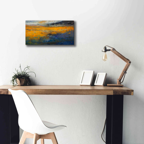 Image of 'Marshes' by Patrick Dennis, Giclee Canvas Wall Art,24 x 12