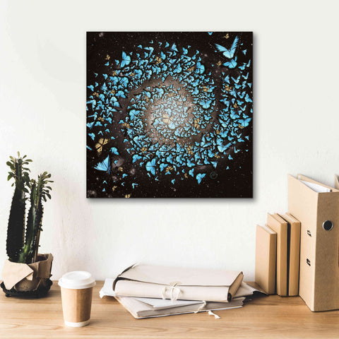 Image of 'Butterfly Galaxy' by Paula Belle Flores, Giclee Canvas Wall Art,18 x 18
