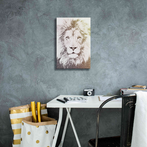 Image of 'Lion' by Paula Belle Flores, Giclee Canvas Wall Art,12 x 18