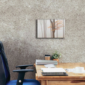 'Arnhem Park Zypendaal' by Wilco Dragt, Giclee Canvas Wall Art,18 x 12