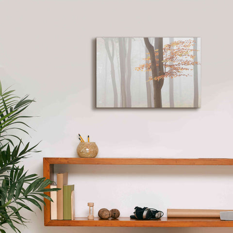 Image of 'Arnhem Park Zypendaal' by Wilco Dragt, Giclee Canvas Wall Art,18 x 12