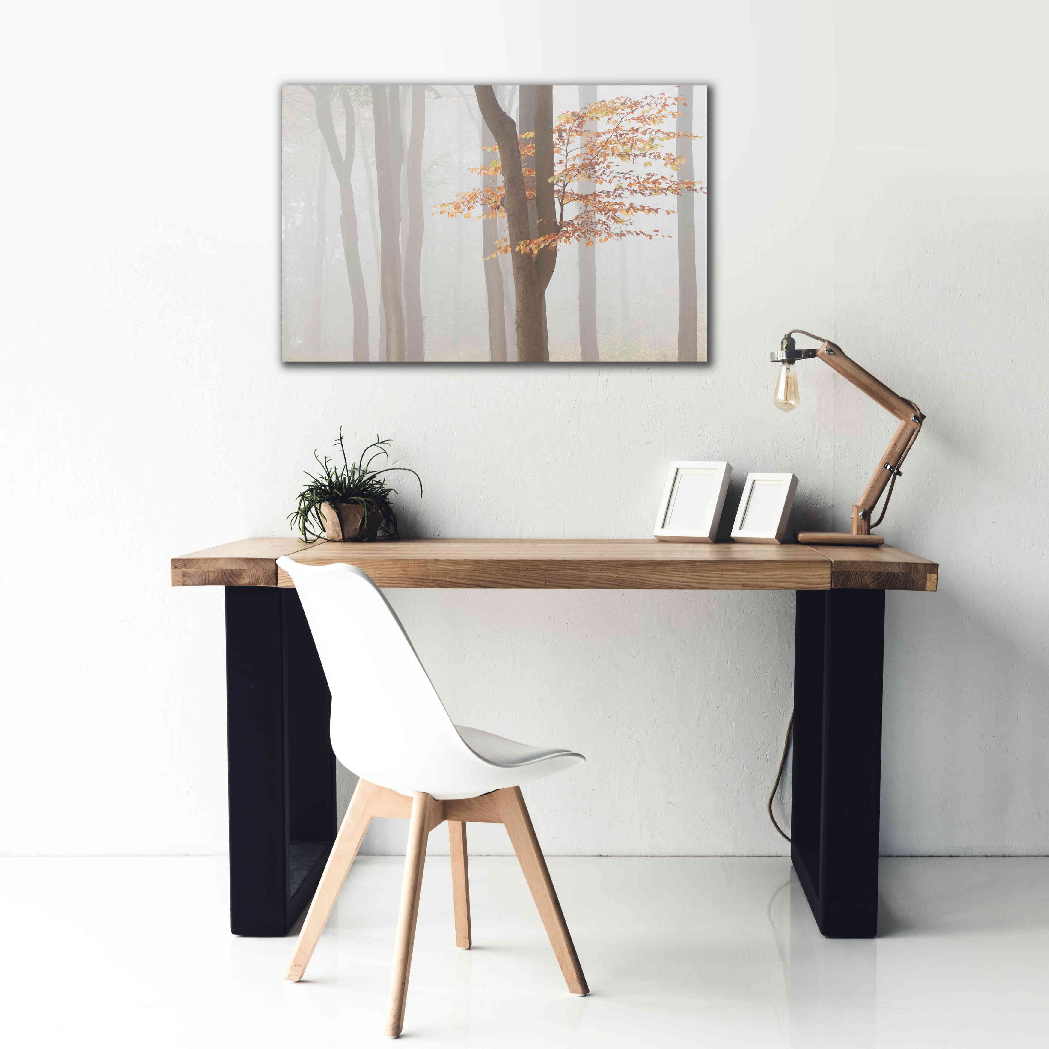 'Arnhem Park Zypendaal' by Wilco Dragt, Giclee Canvas Wall Art,40 x 26
