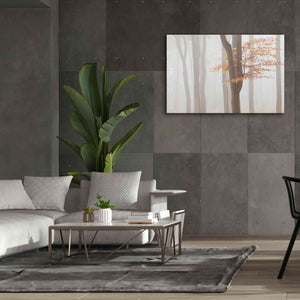 'Arnhem Park Zypendaal' by Wilco Dragt, Giclee Canvas Wall Art,60 x 40